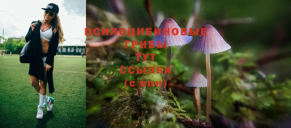 МДПВ Козельск