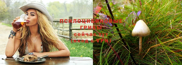 МДПВ Козельск